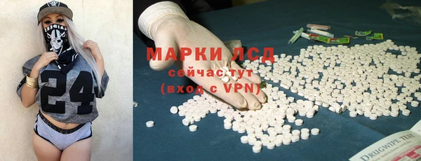 спайс Аркадак